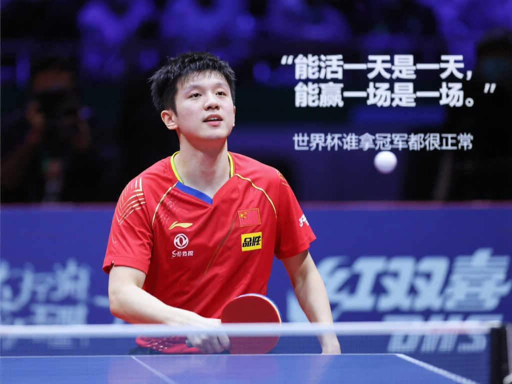 案例分析 案例分析